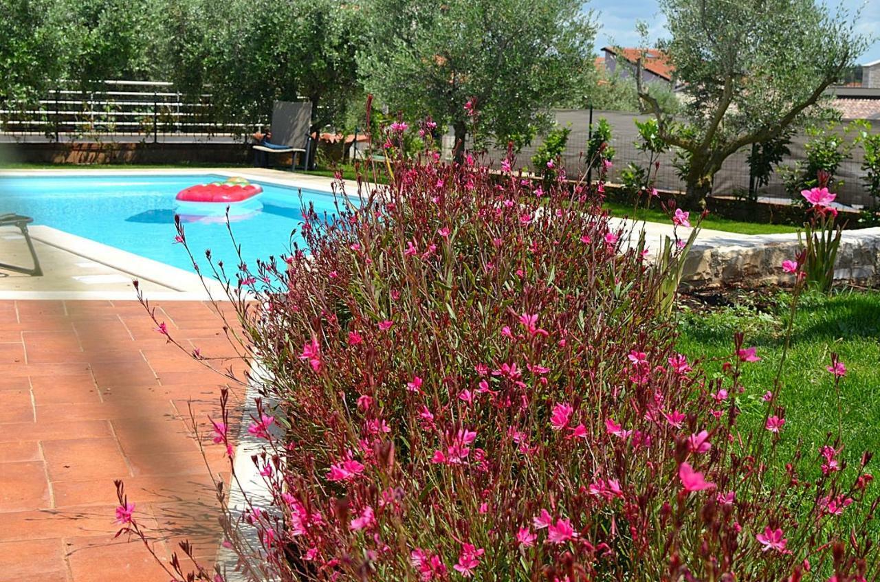 Holiday Home Sverko Novigrad  Exterior photo